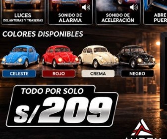 Volkswagen Beetle Vintage 1967