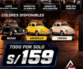 Volkswagen Escarabajo Custom Roof